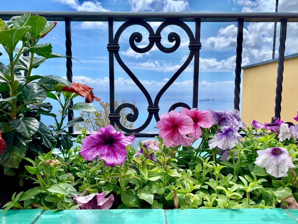 Anna Apartment Positano Eksteriør bilde